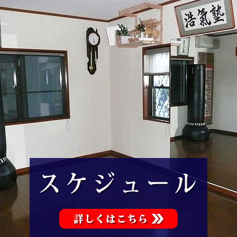 スケジュール